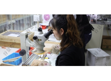 貼片共模電感方向如何區(qū)分你知道嗎？